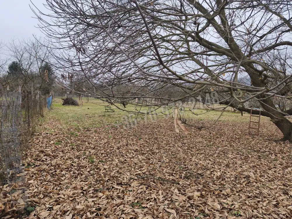 Zala megye - Babosdöbréte