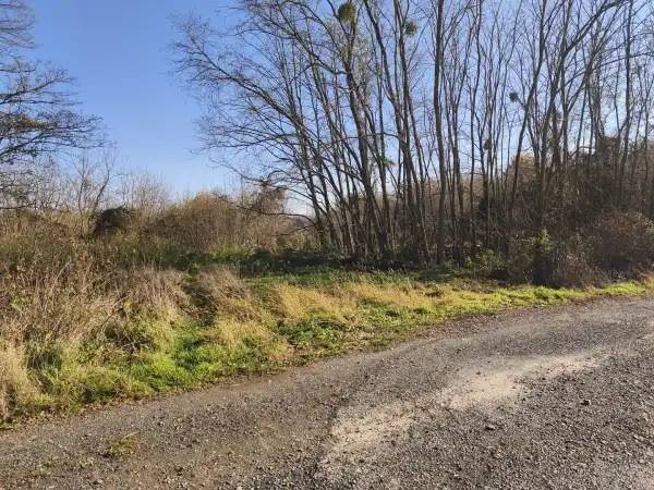 Eladó Építési telek, Nagypáli 12209 m² 85 M Ft