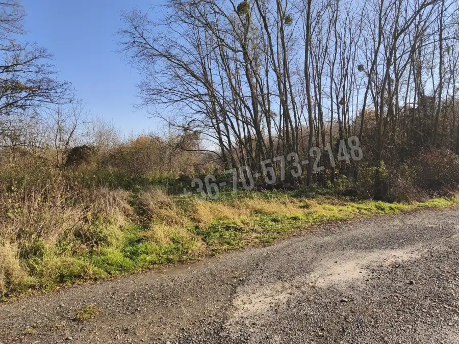 eladó  Építési telek, Nagypáli