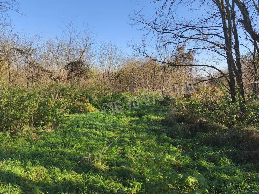 Zala megye - Nagypáli